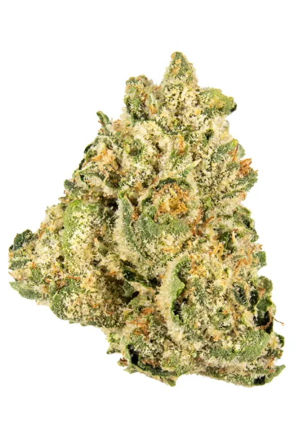 Jungle Cake Strain Review: THC, Terpenes, and CannabIs