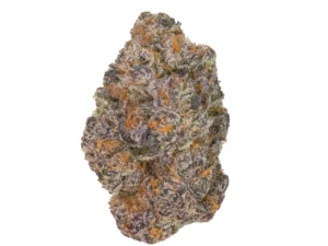 apple fritter strain apple fritter strain, mocking bird brand cannabis strain apple fritter successful genetic cross with apple fritter cannabis strain apple fritter weed strain apple fritter strain effects apple fritter strain indica or sativa apple.fritter strain apple fritter strain sativa or indica apple fritter marijuana strain apple fritter strain leafly apple fritter strain review apple fritter x runtz strain what strain is apple fritter apple fritter strain flowering time sour apple fritter strain apple fritter cannabis strain apple fritter strain allbud apple fritter strain info apple fritter strain seeds apple fritter strain pictures apple fritter strain thc level apple fritter strain yield apple fritter runtz strain candy apple fritter strain marijuana strain apple fritter red apple fritter strain strain apple fritter what strain is apple fritter weed apple fritter #2 strain apple fritter strain exotic apple fritter x gluey strain big apple fritter strain granny apple fritter strain granny's apple fritter strain weed strain apple fritter apple fritter gluey strain apple fritter strain genetics apple fritter strain lineage apple fritter strain reviews apple fritter strain stiiizy apple fritter strain terpenes apple fritter x blueberry mimosa strain apple fritter x runtz strain leafly cannabis strain apple fritter caramel apple fritter strain growing apple fritter strain mendo apple fritter strain apple berry fritter strain apple fritter auto strain apple fritter cake strain apple fritter cookies strain apple fritter gelato strain apple fritter og strain apple fritter strain backpackboyz apple fritter strain bags apple fritter strain cross apple fritter strain grow journal apple fritter strain near me apple fritter strain packaging