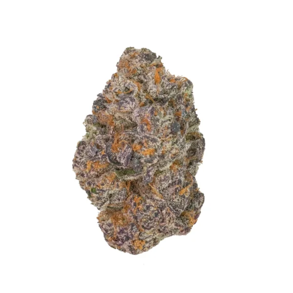 apple fritter strain apple fritter strain, mocking bird brand cannabis strain apple fritter successful genetic cross with apple fritter cannabis strain apple fritter weed strain apple fritter strain effects apple fritter strain indica or sativa apple.fritter strain apple fritter strain sativa or indica apple fritter marijuana strain apple fritter strain leafly apple fritter strain review apple fritter x runtz strain what strain is apple fritter apple fritter strain flowering time sour apple fritter strain apple fritter cannabis strain apple fritter strain allbud apple fritter strain info apple fritter strain seeds apple fritter strain pictures apple fritter strain thc level apple fritter strain yield apple fritter runtz strain candy apple fritter strain marijuana strain apple fritter red apple fritter strain strain apple fritter what strain is apple fritter weed apple fritter #2 strain apple fritter strain exotic apple fritter x gluey strain big apple fritter strain granny apple fritter strain granny's apple fritter strain weed strain apple fritter apple fritter gluey strain apple fritter strain genetics apple fritter strain lineage apple fritter strain reviews apple fritter strain stiiizy apple fritter strain terpenes apple fritter x blueberry mimosa strain apple fritter x runtz strain leafly cannabis strain apple fritter caramel apple fritter strain growing apple fritter strain mendo apple fritter strain apple berry fritter strain apple fritter auto strain apple fritter cake strain apple fritter cookies strain apple fritter gelato strain apple fritter og strain apple fritter strain backpackboyz apple fritter strain bags apple fritter strain cross apple fritter strain grow journal apple fritter strain near me apple fritter strain packaging