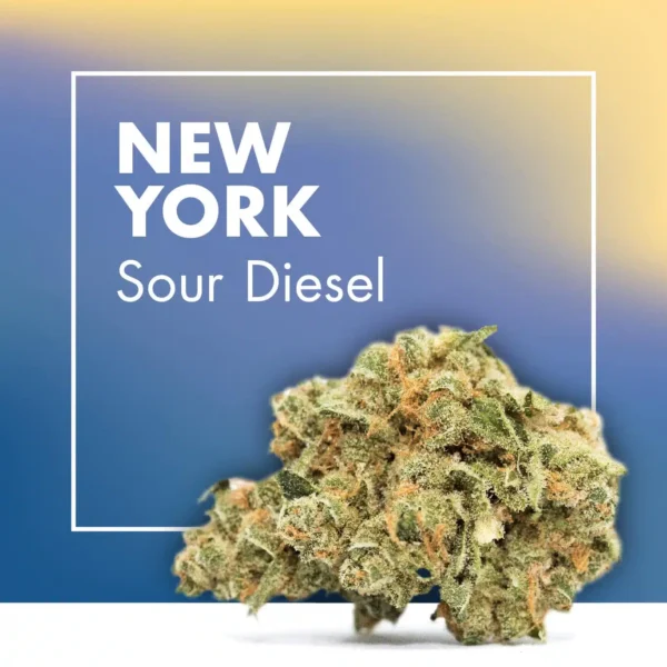 Sour Diesel strain