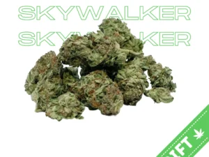 Skywalker OG strain